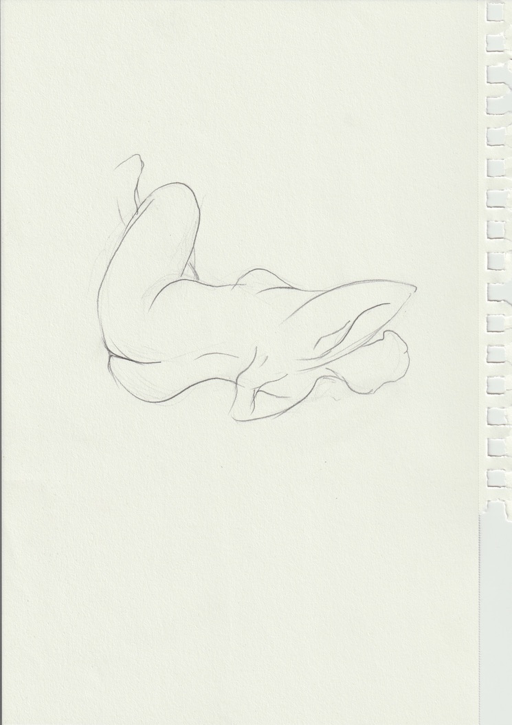 Drawing from life
